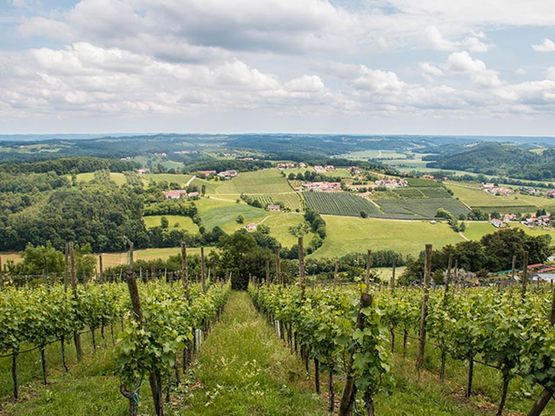 Oststeirisches Thermenland und Vulkanland, Sieglhof in Unterlamm