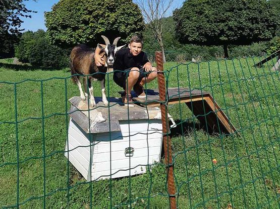 Streichelzoo, Heuriger Sieglhof in Unterlamm, Steiermark